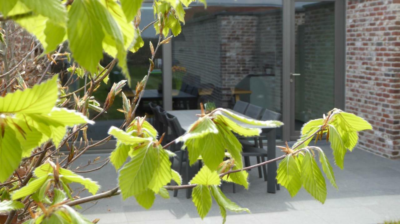 Wijtschate Camilles House 빌라 외부 사진